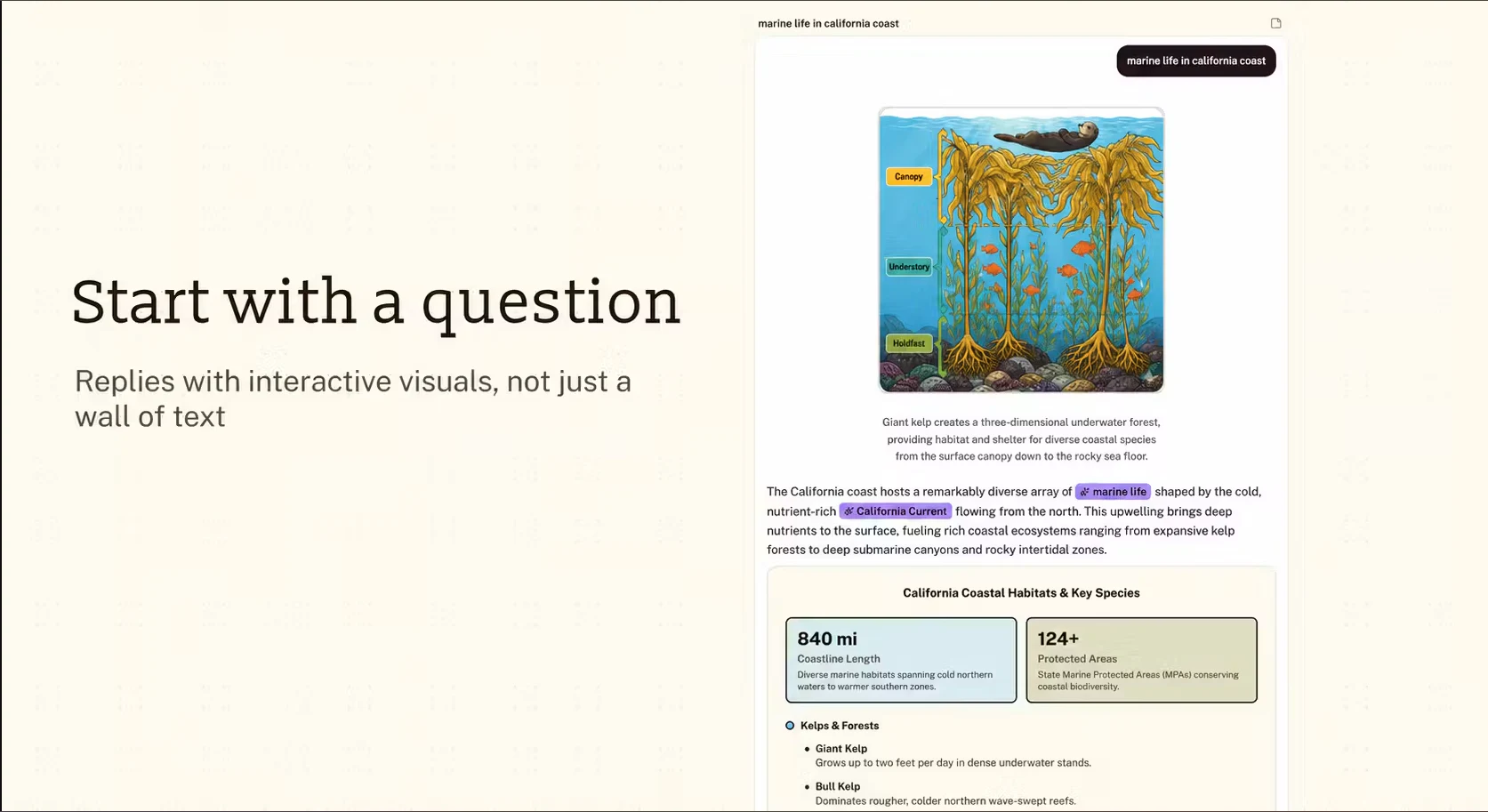 Wondering Canvas product image 1