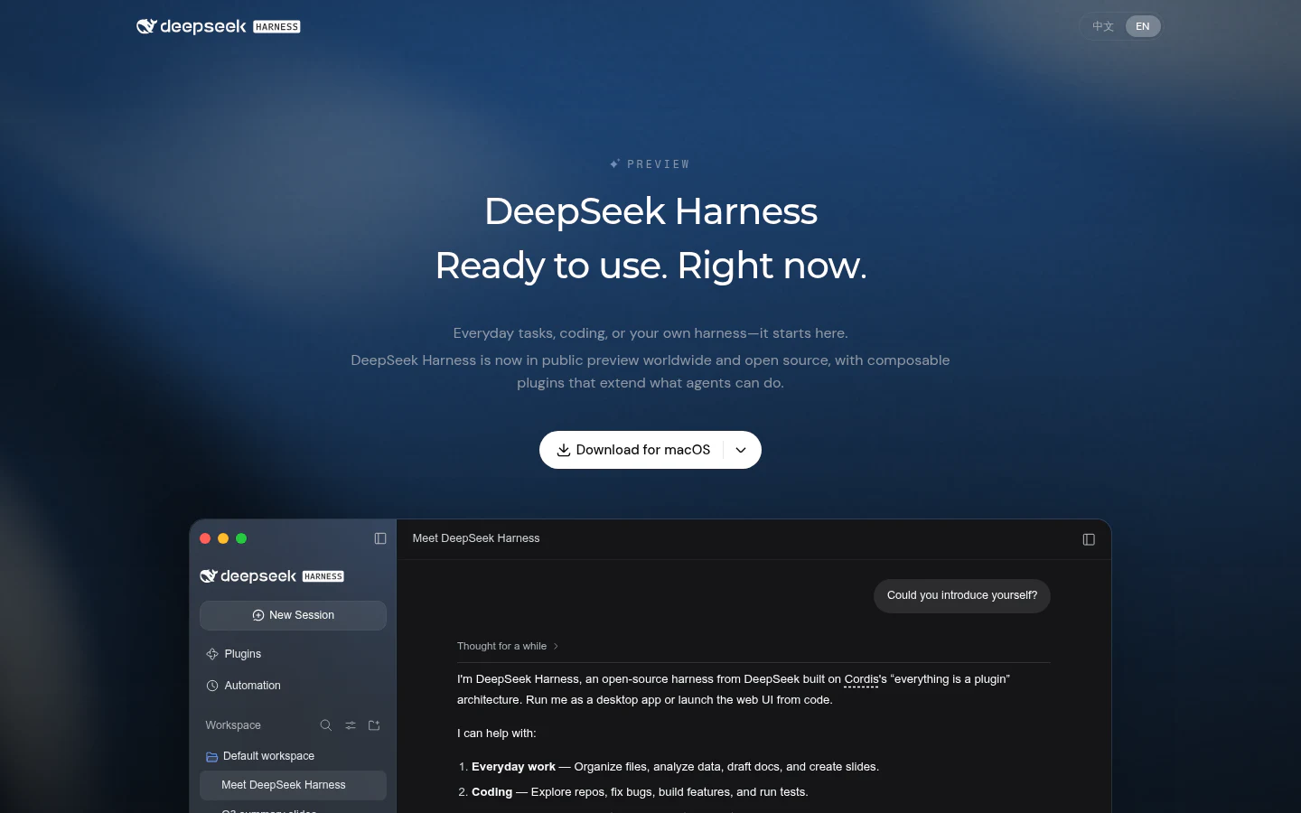 DeepSeek product image 1