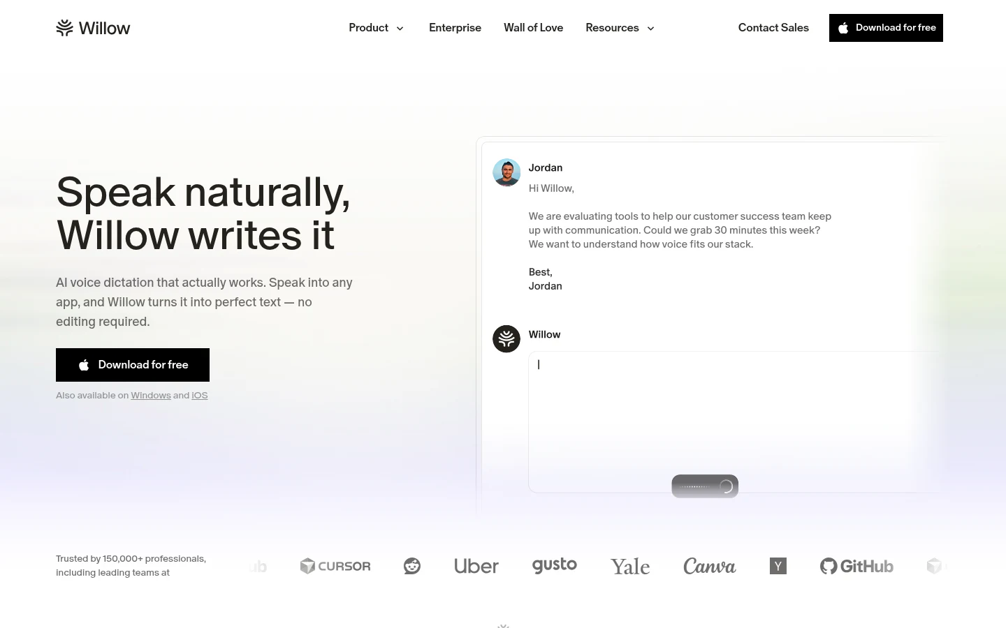 Willow Voice product image 1